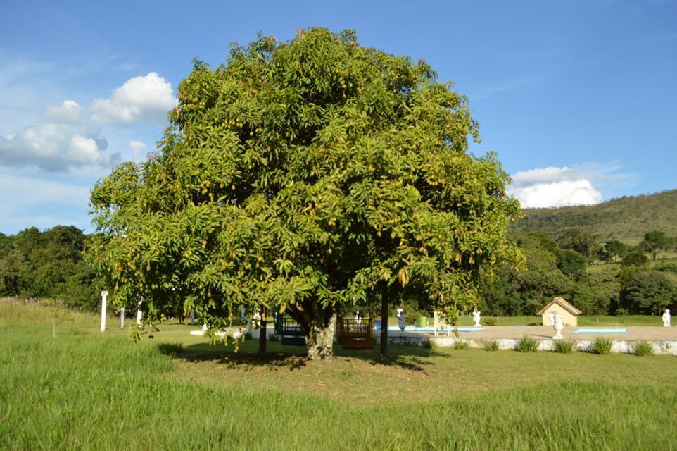 Fazenda Pousada Cachoeira Do Flavio Sao Tome das Letras Exterior photo